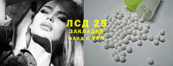 дживик Горняк