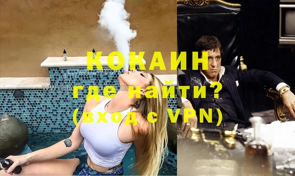 дживик Горняк