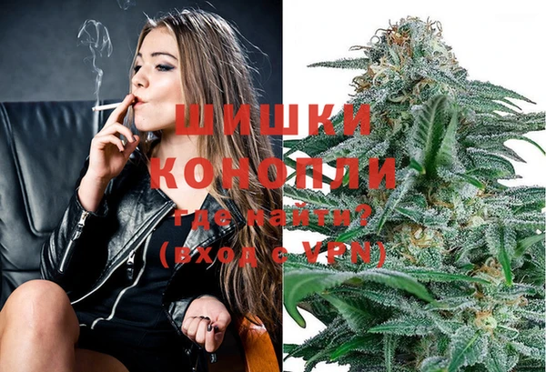 дживик Горняк