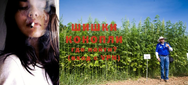 дживик Горняк