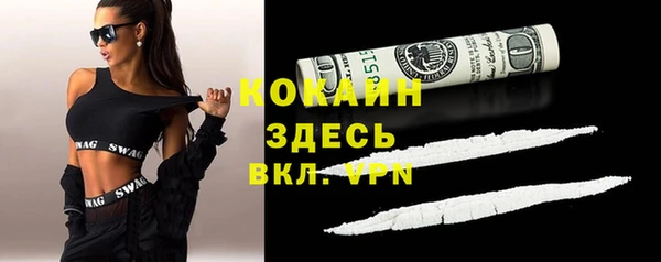 дживик Горняк
