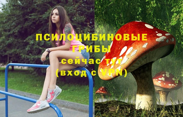дживик Горняк