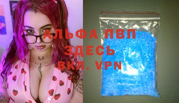 дживик Горняк