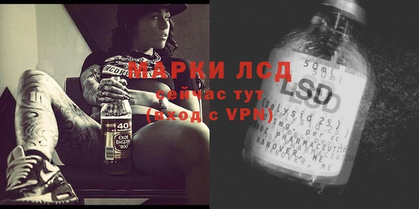 дживик Горняк